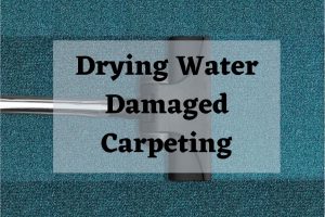vacuum drying water damaged carpet