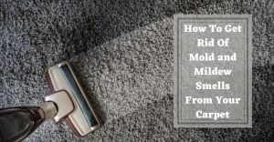 How To Get Rid Of Mold and Mildew Smells From Your Carpet