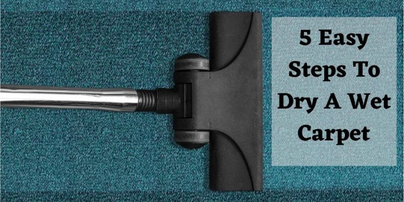 5 easy steps to dry wet carpet