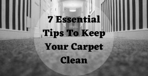 how to keep your carpet clean