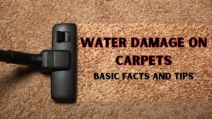 water damage on carpet