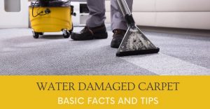 Water Damaged Carpet Basic Facts and Tips