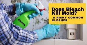 Does Bleach Kill Mold A Risky Common Cleaner