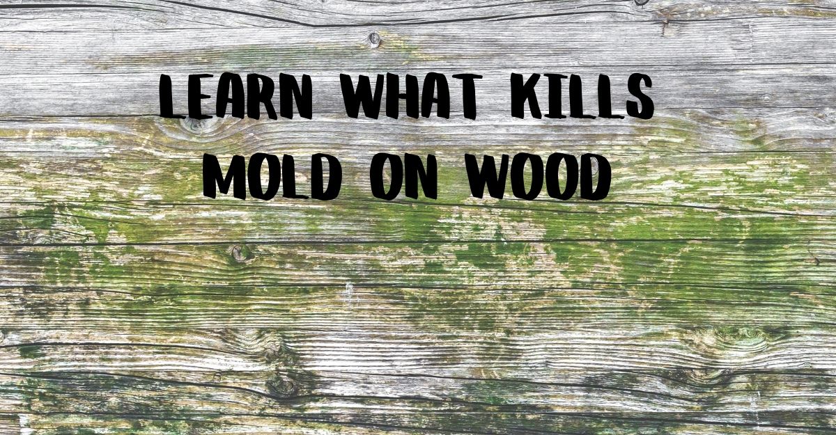 how to prevent mold on wood