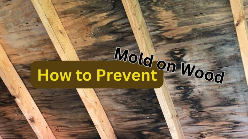 how to prevent mold on wood
