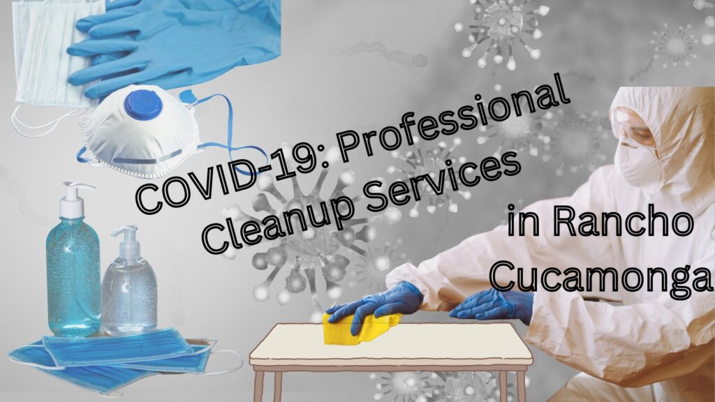 professional cleanup services